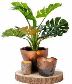 CASA ALBA Candela Naturale| Candele