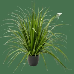 CASA ALLIUM Erba Decorativa Verde| Piante Artificiali