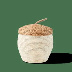 CASA ALVIN Cesto Portatutto Con Coperchio Marrone, Naturale| Cesti Portatutto|Autunno