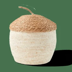 CASA ALVIN Cesto Portatutto Con Coperchio Marrone, Naturale| Cesti Portatutto|Autunno