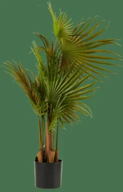 CASA ARECA Palma Verde| Piante Artificiali