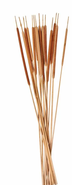 CASA BAMBOO Cassettiera 2 Cassetti Naturale| Cassettiere