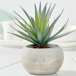 CASA CEMENT Succulente Finto In Vaso Grigio| Piante Artificiali