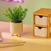 CASA CERA Pianta Artificiale Vari Colori| Piante Artificiali