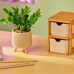 CASA CERA Pianta Artificiale Vari Colori| Piante Artificiali