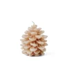 CASA CONE Candela Marrone| Candele