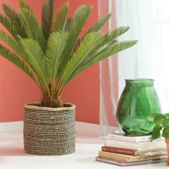 CASA CYCAS Palma Verde| Piante Artificiali