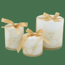 CASA ESCAPE SENSES Cand. Prof. In Vaso Multicolore| Candele Profumate|Candele