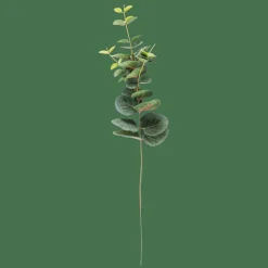 CASA EUCALYPTUS Ramo Artificiale Verde| Rami Artificiali