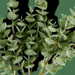 CASA EUCALYPTUS Ramo D'eucalipto Verde| Fiori Artificiali