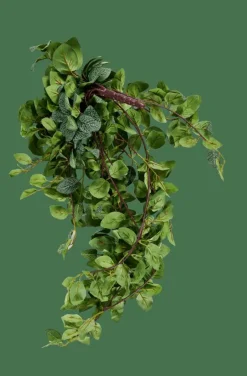 CASA FITTONIA Ghirlanda Di Foglie Verde| Piante Artificiali|Rami Artificiali