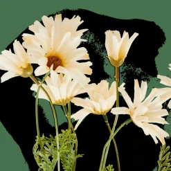 CASA INDI Ramo Fiorito Crema| Fiori Artificiali|Autunno