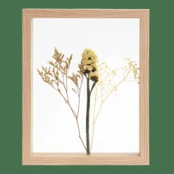 CASA LIMONIUM Decorazione Da Parete Naturale| Decorazioni Da Parete