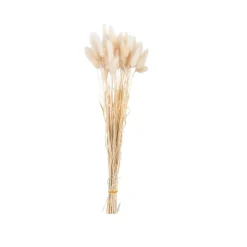 CASA LINDE Vaso Beige| Vasi
