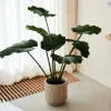 CASA LOTUS Pianta Verde| Piante Artificiali