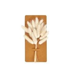 CASA MINA Deco Essiccata Bianco| Fiori Artificiali