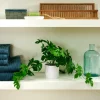 CASA MONSTERA Pianta Vari Colori, Bianco, Verde| Piante Artificiali