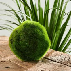 CASA MOSS Sfera Di Muschio Verde| Piante Artificiali