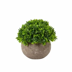 CASA OAK Piedistallo Naturale| Ciotole Decorativi|Supporti Per Piante