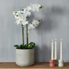 CASA ORCHID Orchidea In Vaso Bianco| Piante Artificiali