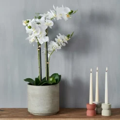 CASA ORCHID Orchidea In Vaso Bianco| Piante Artificiali