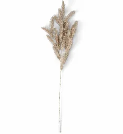 CASA PINE Fungo| Autunno
