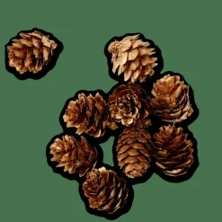 CASA PINECONE Decorazione Sfusa Dorato| Figurine Decorative