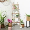 CASA RECYCLE Scaletta Naturale| Kids|Portavasi Sospesi