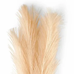 CASA RONDA Vaso Beige| Vasi