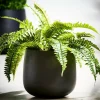 CASA SENSE Vaso Da Giardino Nero| Vasi Di Fiori|Vasi Da Giardino