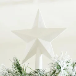 CASA STAR Decorazioni Secche| Fiori Artificiali