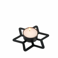 CASA STAR Decorazioni Secche| Fiori Artificiali