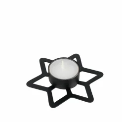 CASA STAR Decorazioni Secche| Fiori Artificiali