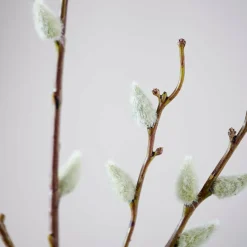 CASA STAR Decorazioni Secche| Fiori Artificiali
