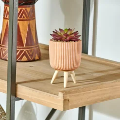 CASA STRIPE Succulente Finto In Vaso Multicolore| Piante Artificiali