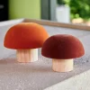 CASA VELVET Fungo Naturale, Multicolore| Autunno