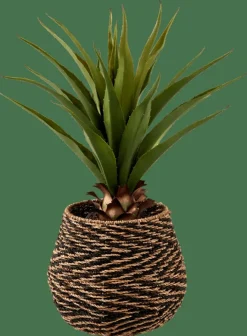 CASA VERA Aloe Vera Verde| Piante Artificiali